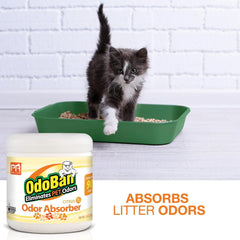 Pets Rule OdoBan Solid Odor Absorber Air Freshener, 3-Pack, 14 Ounce Jar Each, Citrus Scent