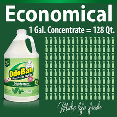 OdoBan Disinfectant Odor Eliminator and All Purpose Cleaner Concentrate, Original Eucalyptus Scent, 1 Gallon