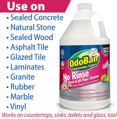 OdoBan Pet Solutions Oxy Stain Remover, Made in the USA, 2-Pack, 32 Ounce Sprays Each, and Neutral pH Floor Cleaner Concentrate, 1 Gallon