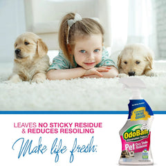 OdoBan Pet Solutions Oxy Stain Remover, Pet Stain Eliminator, Made in the USA, 8-Pack, 32 Ounce Spray Each