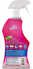 OdoBan Pet Solutions Oxy Stain Remover, Pet Stain Eliminator, Made in the USA, 10-Pack, 32 Ounce Spray Each