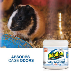 Pets Rule OdoBan Solid Odor Absorber Air Freshener, 2-Pack, 14 Ounce Jar Each, Fresh Linen Scent