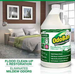 OdoBan Professional Disinfectant and Odor Eliminator Concentrate, 3-Pack, 1 Gallon Each, Original Eucalyptus Scent