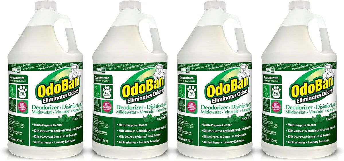 OdoBan Professional Disinfectant and Odor Eliminator Concentrate, 4 Gallons, Original Eucalyptus Scent