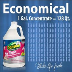 OdoBan Pet Solutions Oxy Stain Remover, Made in the USA, 2-Pack, 32 Ounce Sprays Each, and Neutral pH Floor Cleaner Concentrate, 1 Gallon