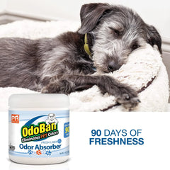 Pets Rule OdoBan Solid Odor Absorber Air Freshener, 2-Pack, 14 Ounce Jar Each, Fresh Linen Scent