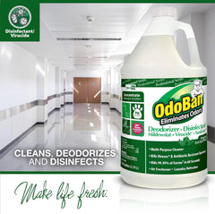 OdoBan Professional Disinfectant and Odor Eliminator Concentrate, 4 Gallons, Original Eucalyptus Scent